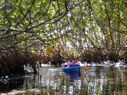 September riding the current in the mangrove tunnel