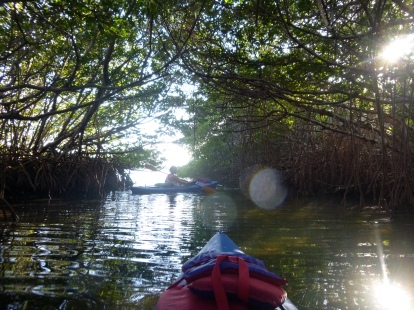 The one mangrove tunnel we found - full of crabs and oysters
